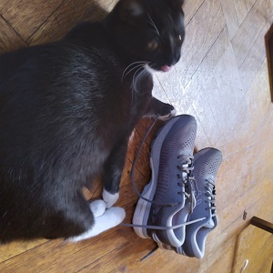 Fundraising Page: Suzanne Roos